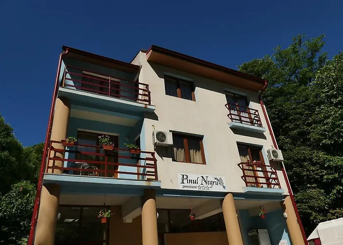 Pensiunea Pinul Negru