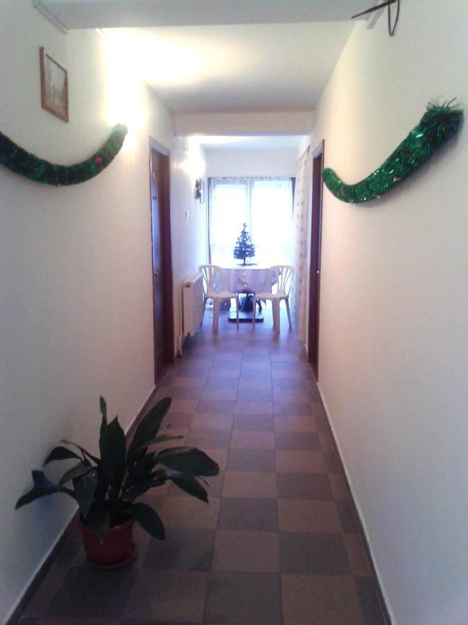 Pensiune Pensiunea Pinul Negru Băile Herculane